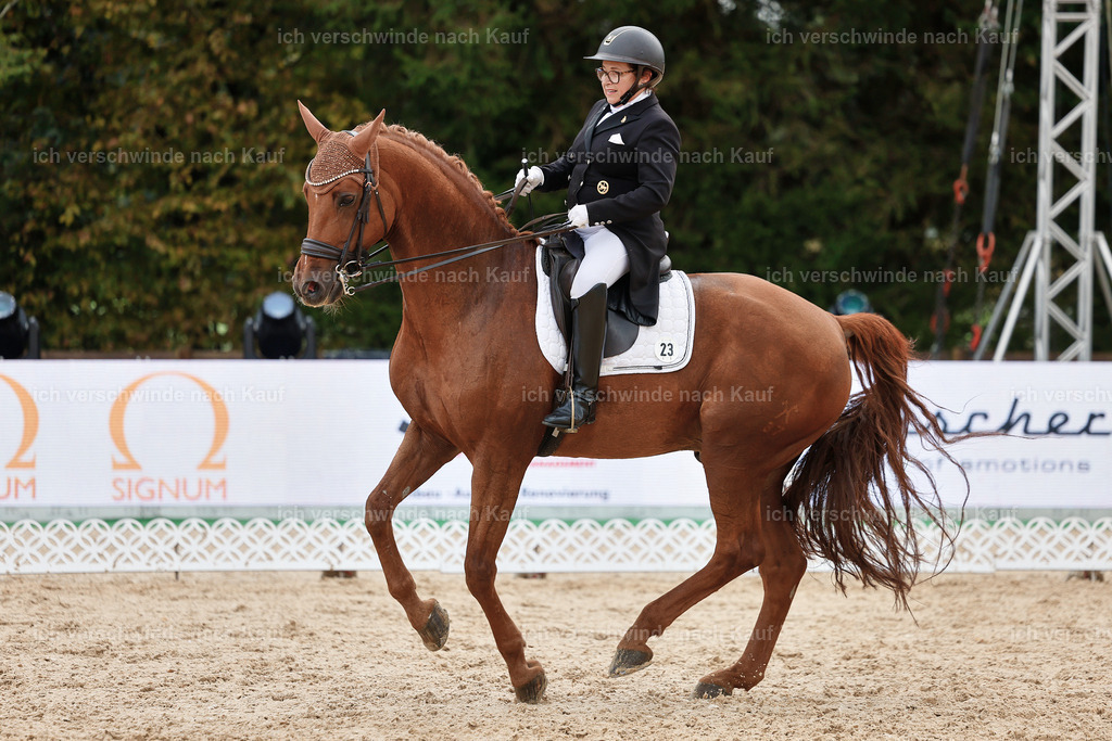 07-023-DRESSUR  S___  -StoibPH-5043 | working equitationturnier fotograf videograf stoibphotography marixx film working equitation deutschland reitsport turnierfotografie eventfotografie equestrian events