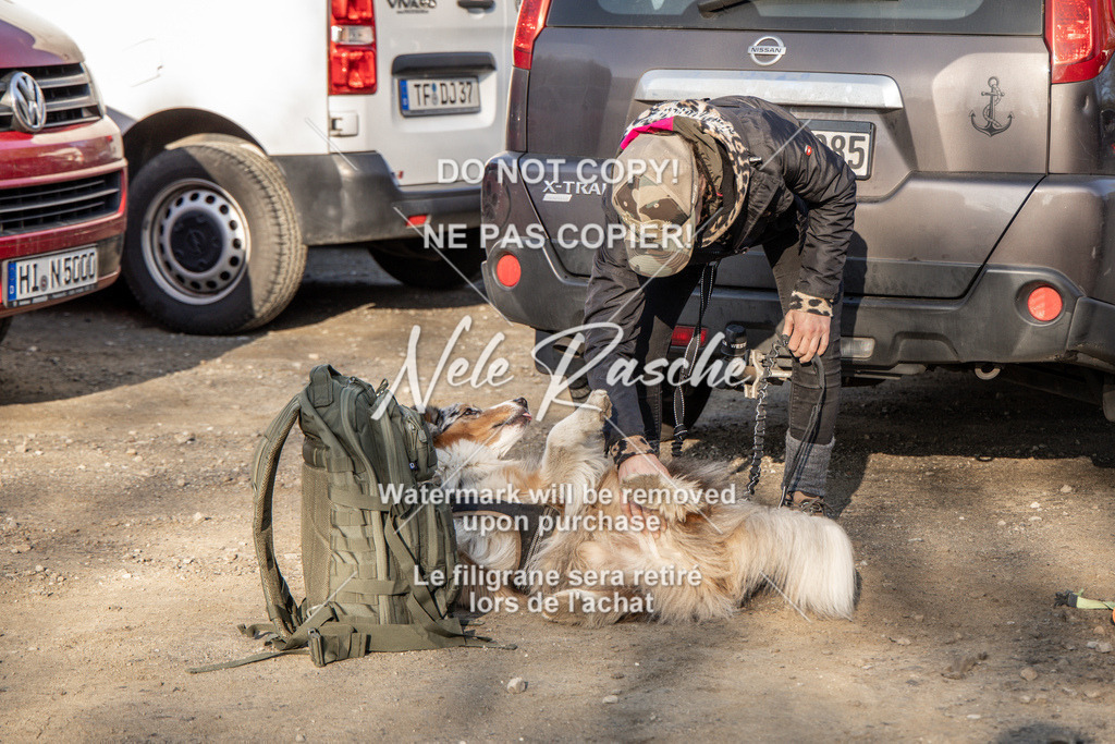 NR__0537-2 | nelerasche