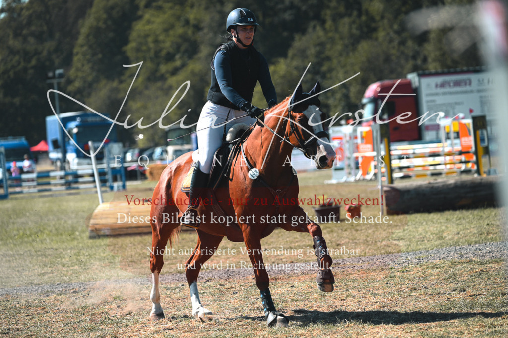DSC_7989 | Pferde- und Turnierfotografie in Westsachsen. Pferdeportraits, Auftragszeichnungen und intuitive Kunst.