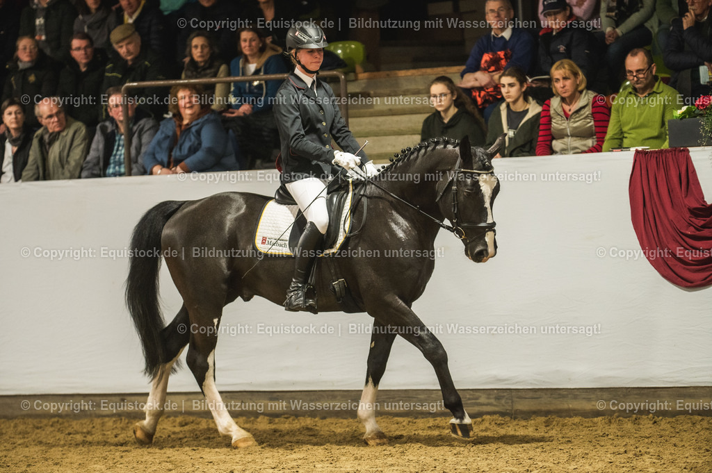 20240302_Hengstvorstellung_Marbach_TOMsPiC_0721 | equistock