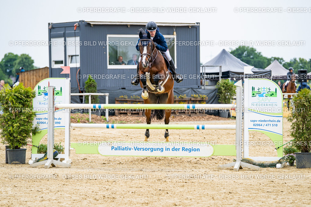 DSC06681 | Pferdegrafie