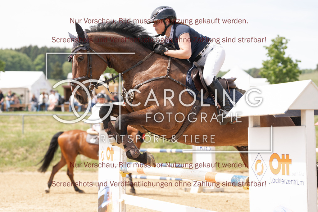 DSC06618 | Springturnier_Ehingen_Mai_2026, miriam_bohn, Don_Diego_93