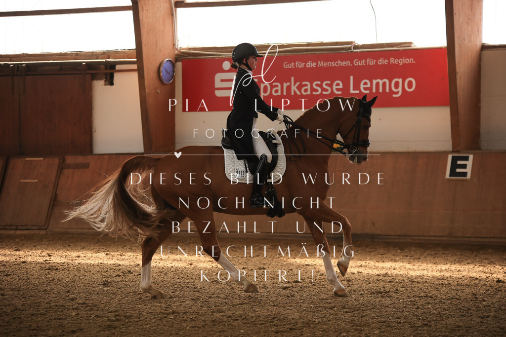 IMGT4705 | pl-fotografie