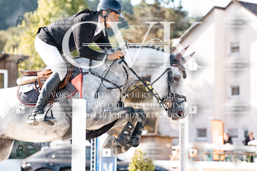 CK904804 | Turnierfotografie Pferdefotografie Trier Rheinland-Pfalz Pferdesport Reitsport Tierfotografie Sportfotografie Pferdevideo Pferdevideografie Equestrianvideography equestrianphotography  - Realisiert mit Pictrs.com
