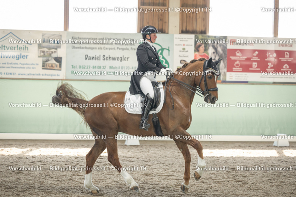 _D5A2267 | Emotionale Pferde- & People-Fotografie rund um Heidelberg, Leimen & Umgebung. Natürliche Fotos von Pferd, Mensch & Familie. Jetzt Termin sichern!