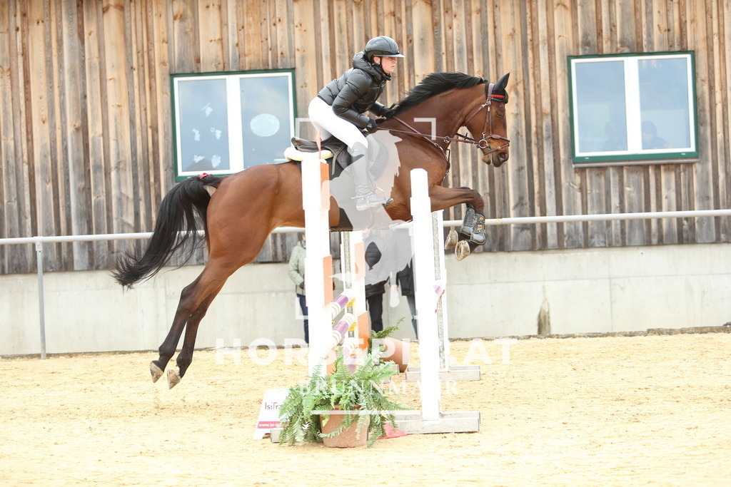 DL2Q1591 | Willkommen bei Brunnmayr - Design & Fotografie – Ihrem Spezialisten für Reitturniere und Pferdeveranstaltungen in Oberösterreich, Salzburg und Bayern! Seit über 17 Jahren sind wir leidenschaftlich dabei.