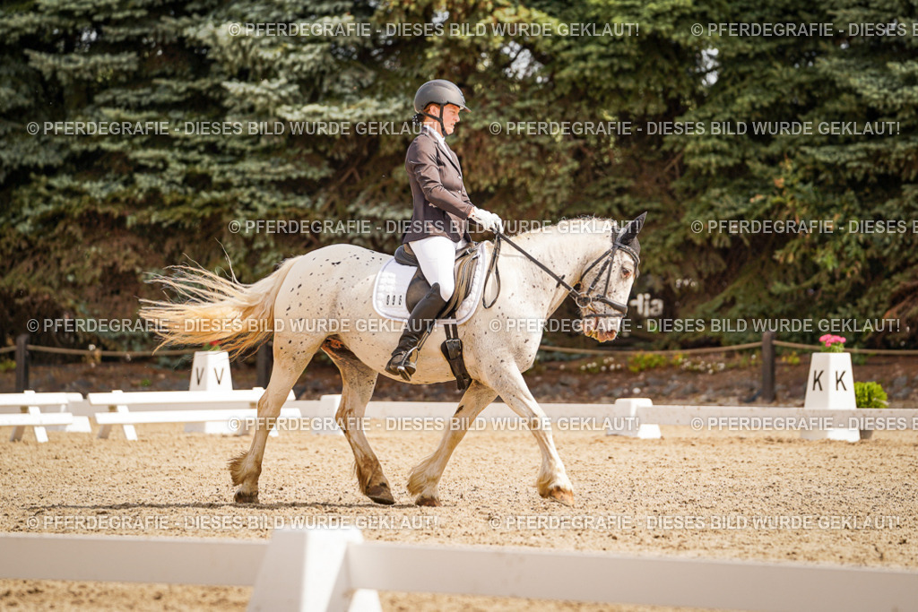 DSC01482 | Pferdegrafie