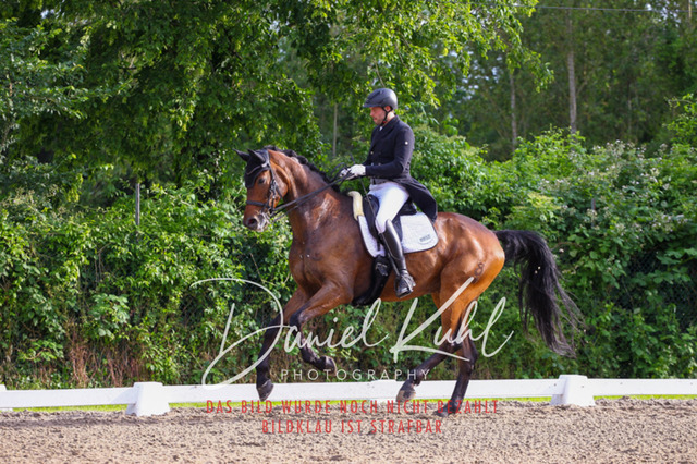 DKP41763 | Deine Turnierfotos vom Reitturnier online kaufen: Dressur, Springen & Siegerehrung. Professionelle Pferdefotografie aus dem Rheinland – als Download & Print.Alternative: Turnierfotograf für den Pferdesport: Finde deine Fotos von Dressur- und Springturnier