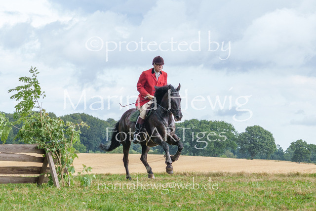 Jagd Knoop 26_MarinaHewigMCH02621 | Fotografie, FotoArt, PferdesportArt, Pferdesportfotografie, Landschaftsfotografie, Reisefotografie, Reise, Pferde - Realisiert mit Pictrs.com