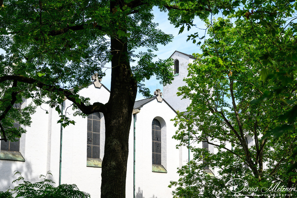 Evangelische Altmünsterkirche | Die Evangelische Altmünsterkirche in Mainz
