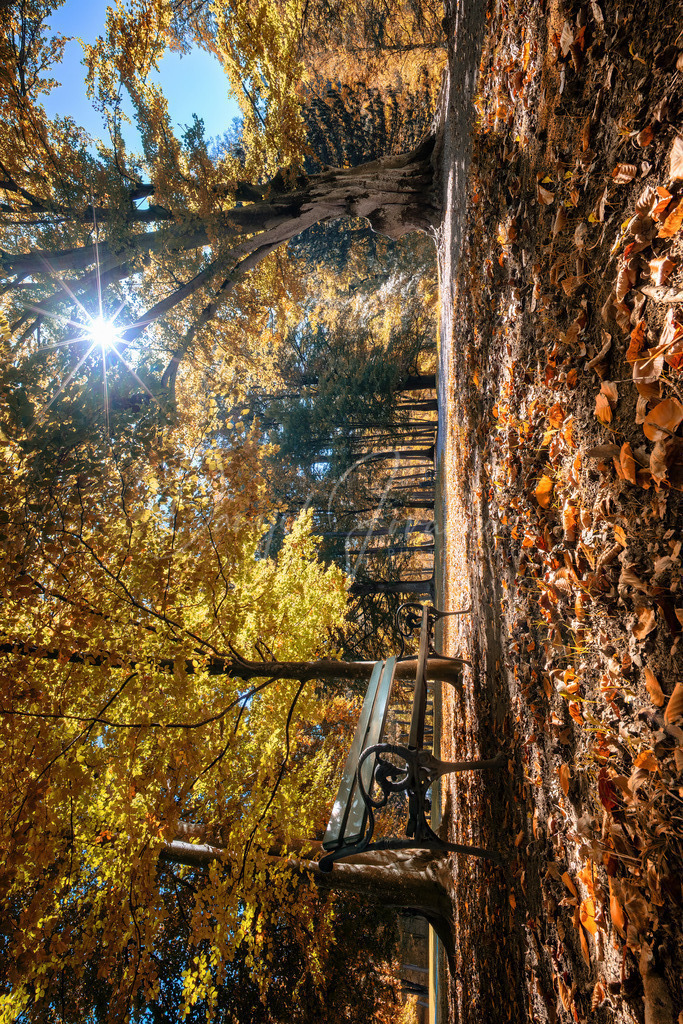 Herbst | Herbst im Schlosspark Ambras