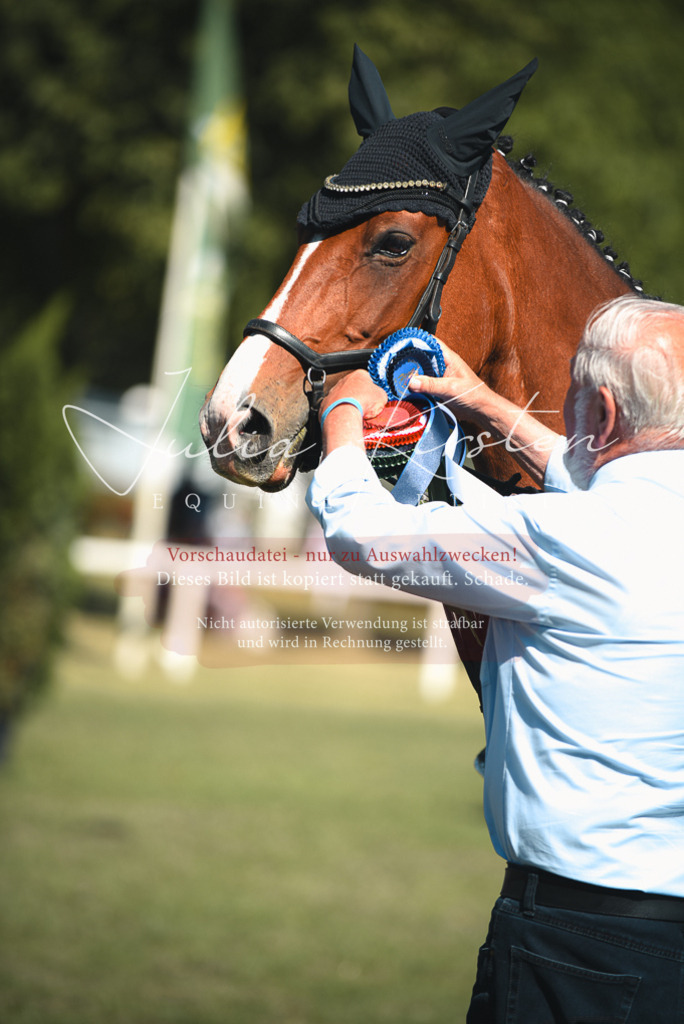 DSC_7320 | Pferde- und Turnierfotografie in Westsachsen. Pferdeportraits, Auftragszeichnungen und intuitive Kunst.