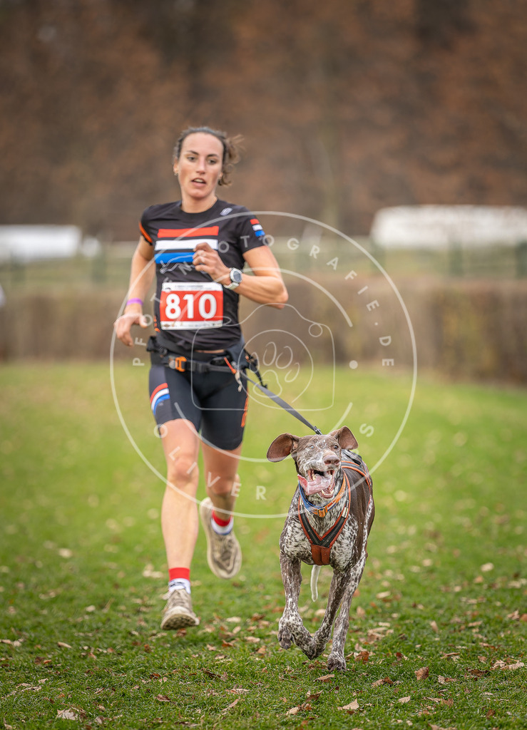 CaniXpix_DV3A6391 | Hundefotografie, Tierfotograf, Pfotenfotografie, Fotoshooting Hund, Hunde Portrait, Hundesport, Hundeportraits, Heideshooting, Hunde, Sportfotograf, Hundefotograf, Turnierhundsport, THS,  - Realisiert mit Pictrs.com