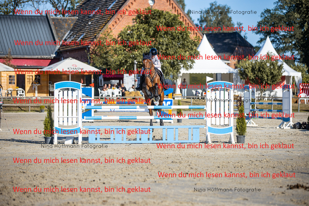 BK1A6132 | Turnierbilder Turnierfotos Nina Hüffmann Turnierfotografie Pferdefotografie Tierzeichnung Haustierzeichnung Pferdezeichnung Hundezeichnung Videograf  - Realisiert mit Pictrs.com