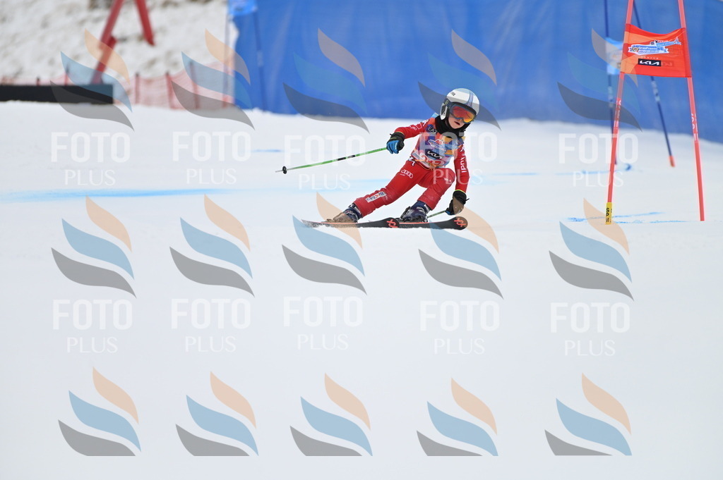 BGV_2835 | holidayphoto