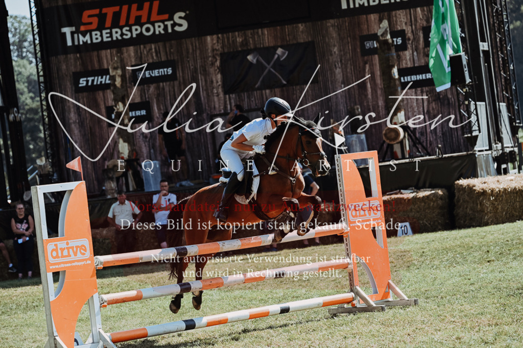 DSC_6179 | Pferde- und Turnierfotografie in Westsachsen. Pferdeportraits, Auftragszeichnungen und intuitive Kunst.