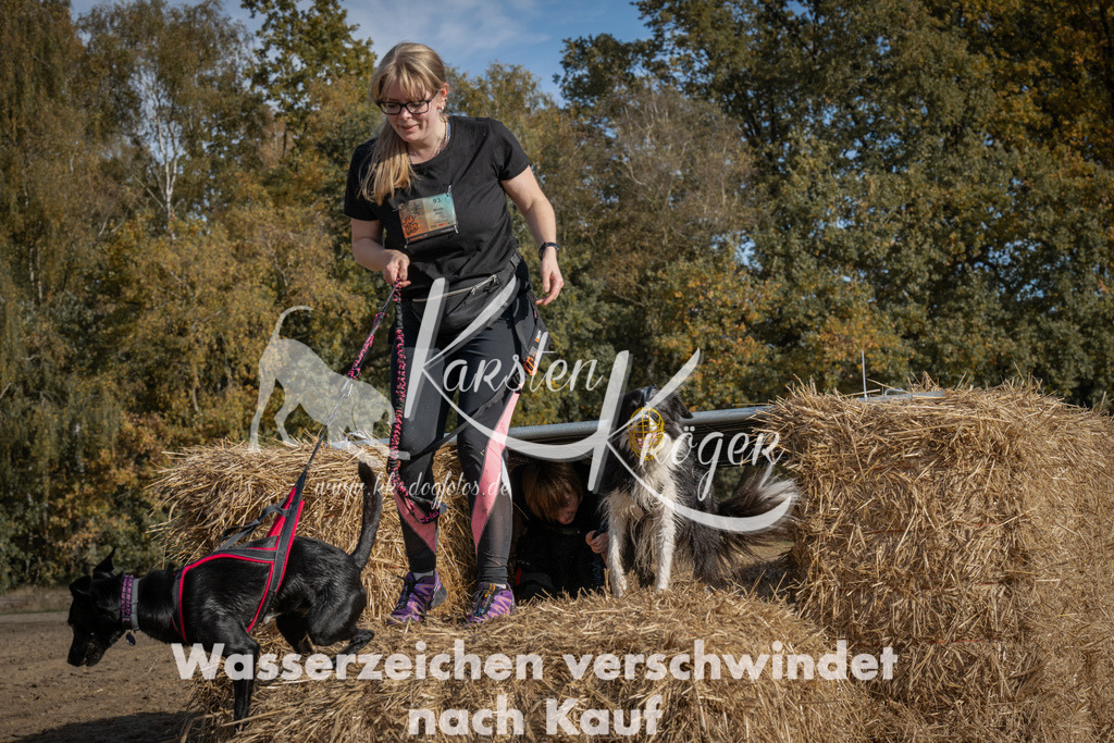 1141_ZZ92499 | kk-dogfotos