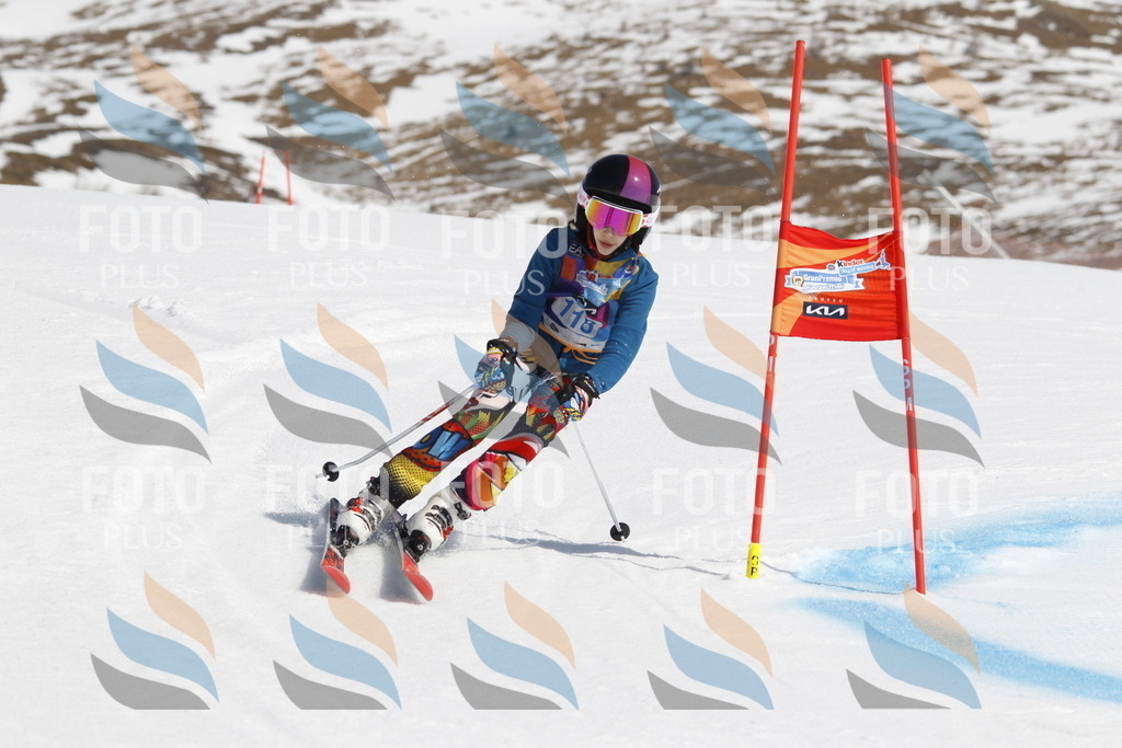 _U3G0663 | holidayphoto