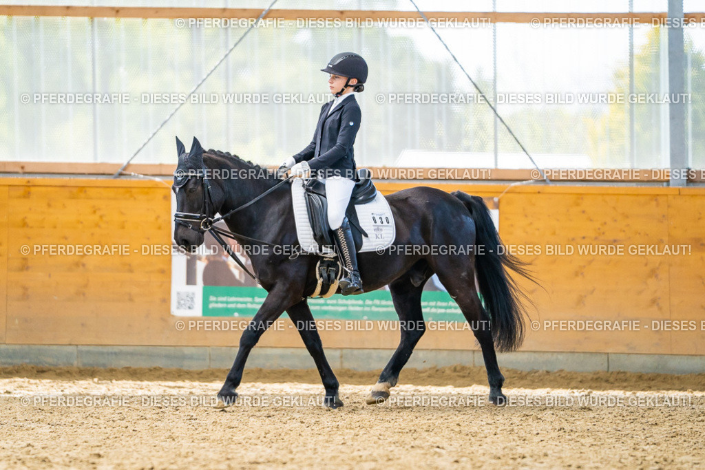 DSC01074 | Pferdegrafie