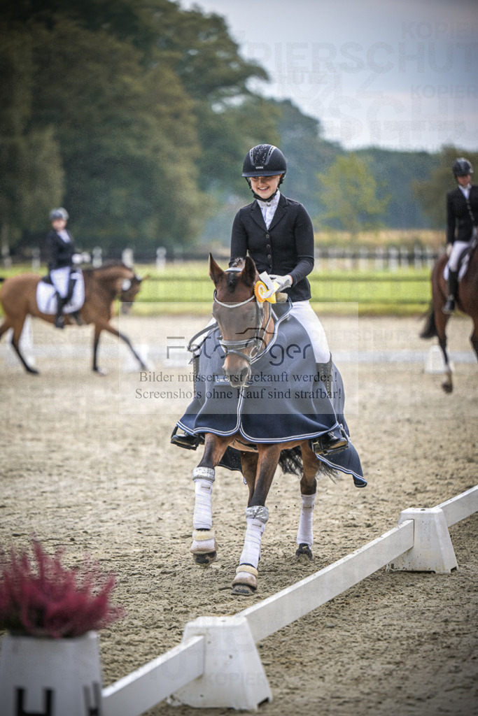 DOS_B306 | Entdecke hochwertige Reitturnierfotos von Foto Oger. Professionell, emotional und authentisch – jetzt Lieblingsmomente im Shop bestellen.Deutschlandweite Turnierfotografie. - Realisiert mit Pictrs.com