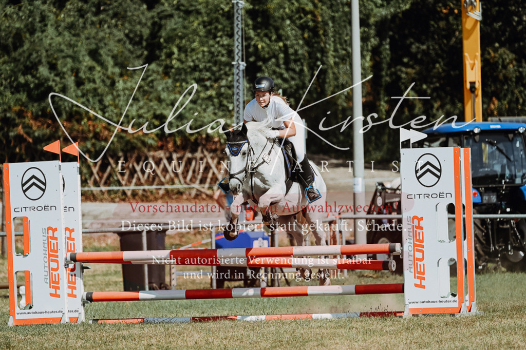 DSC_9610 | Pferde- und Turnierfotografie in Westsachsen. Pferdeportraits, Auftragszeichnungen und intuitive Kunst.