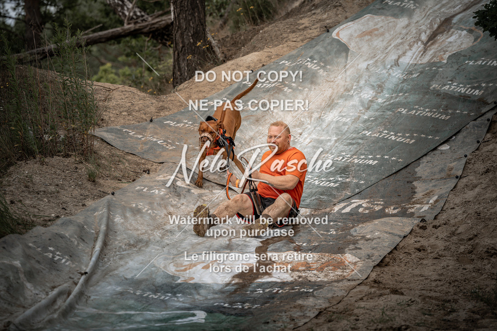 nelerasche_sa1230-1300_03 | nelerasche
