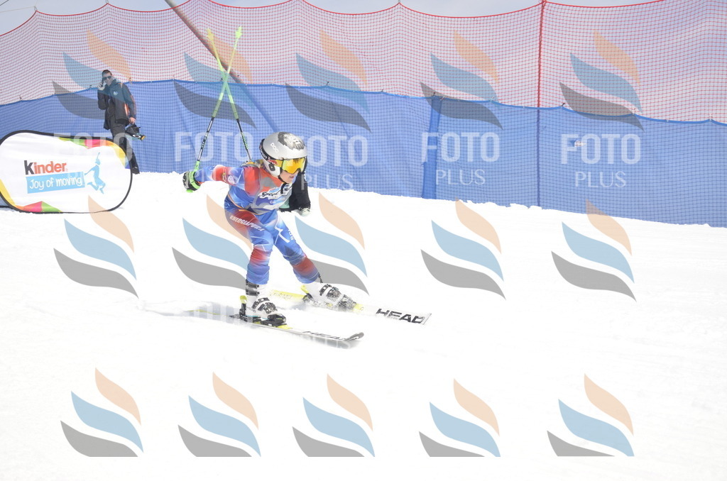 _ELE8876 | holidayphoto