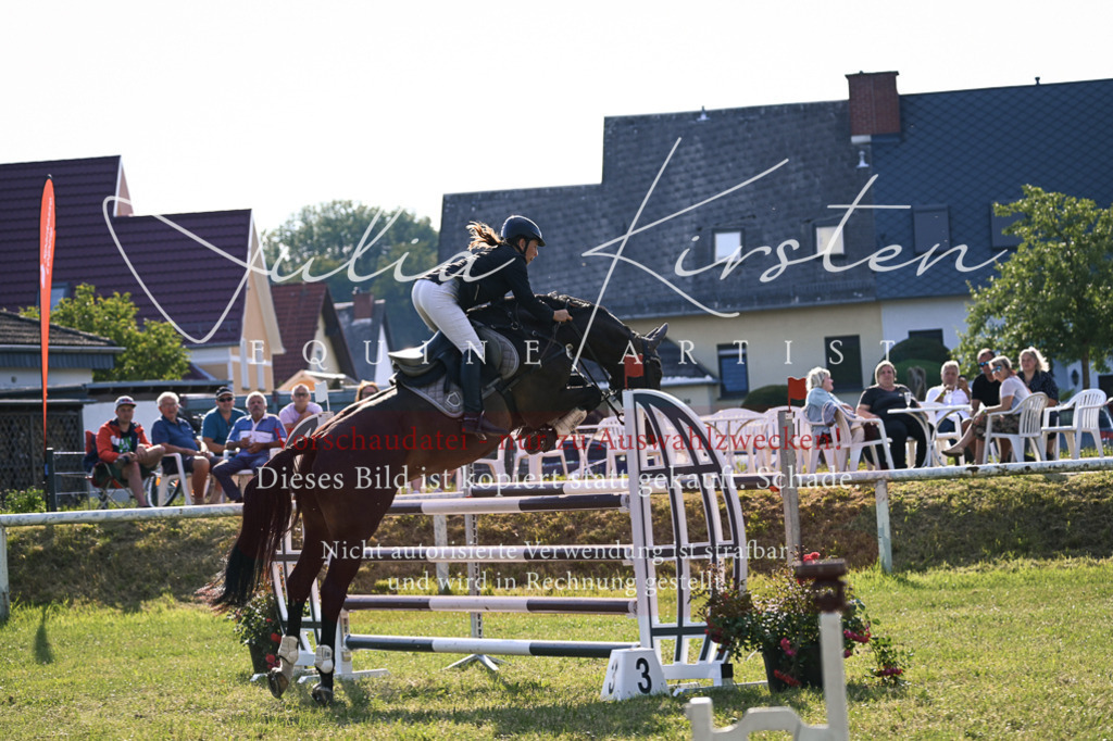 DSC_1669 | Pferde- und Turnierfotografie in Westsachsen. Pferdeportraits, Auftragszeichnungen und intuitive Kunst.