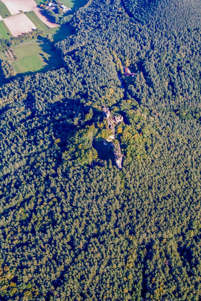 Luftbild: Burgruine Drachenfels in Busenberg im Bundesland Rheinland-Pfalz in Deutschland. Foto: IMG_13647.jpg vom 28.09.2008 durch Werner Riehm/FLY-FOTO.de