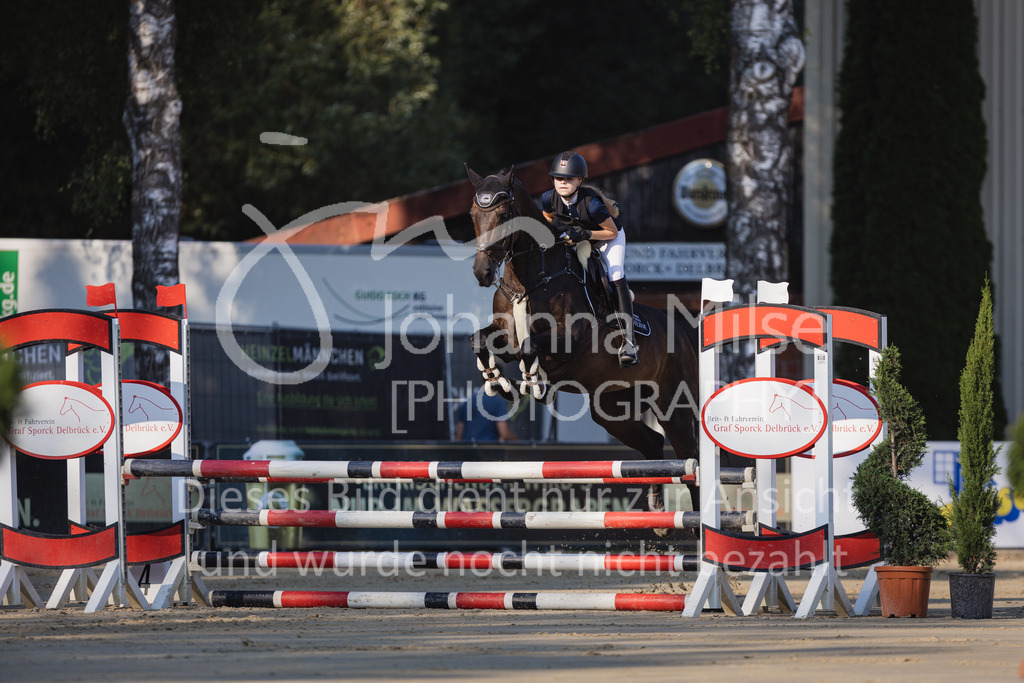 230823_Delbrueck_Stil-A1-113 | Deine schönsten Turniermomente als professionelle Fotos! Entdecke hochwertige Pferdesport-Fotografie im Online-Shop. Jetzt Fotos finden & bestellen!