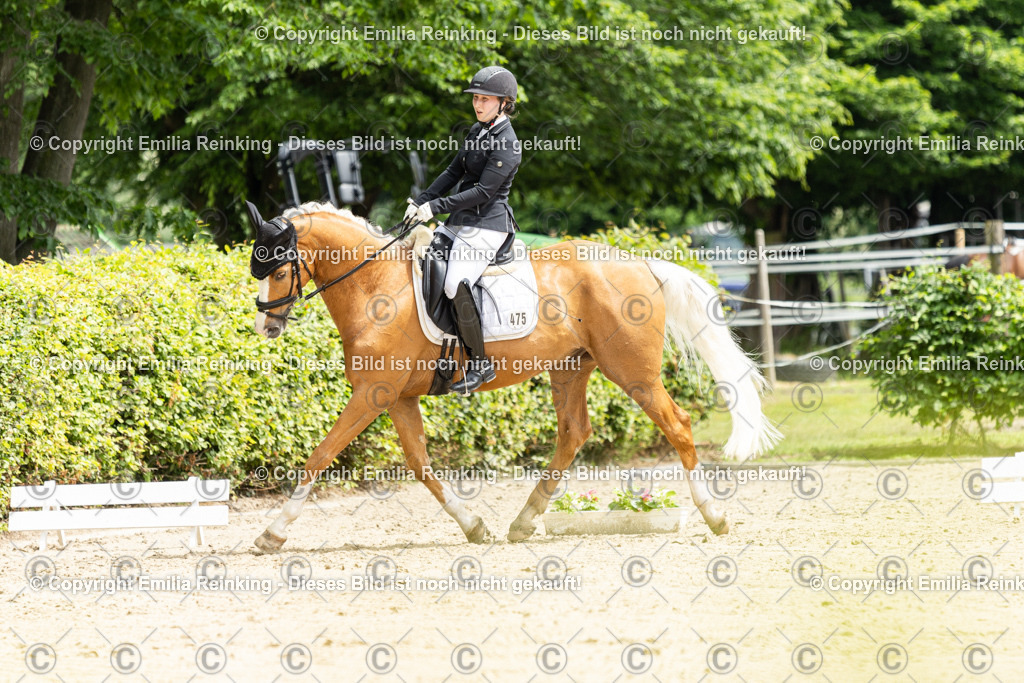 CL5A0276 | Emilia Reinking Fotografie - Realisiert mit Pictrs.com