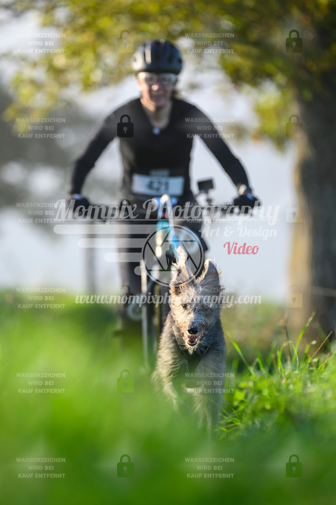 MompixPhotography_20TSB_E3_Bike-183 | PayLife