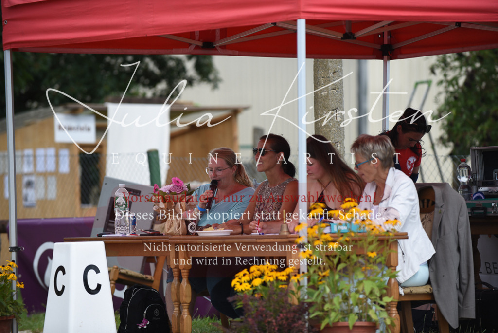 DSC_9004 | Pferde- und Turnierfotografie in Westsachsen. Pferdeportraits, Auftragszeichnungen und intuitive Kunst.