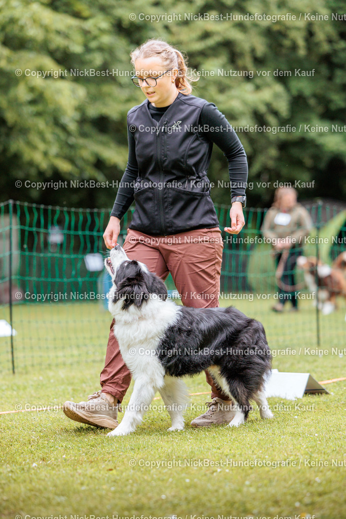RO-Blumenthal-2026-Nickbest-Hundefotografie-2285 | Dein Hund! Dein Moment! Deine Erinnerungen! Hundefotografie in Bremen Blumenthal. Ich fange die besonderen Momente deines Vierbeiners ein – ob Indoor mit Blitzanlage oder in der freien Natur. Sicher dir dein Moment und dein Termin für eure Erinnerungen.