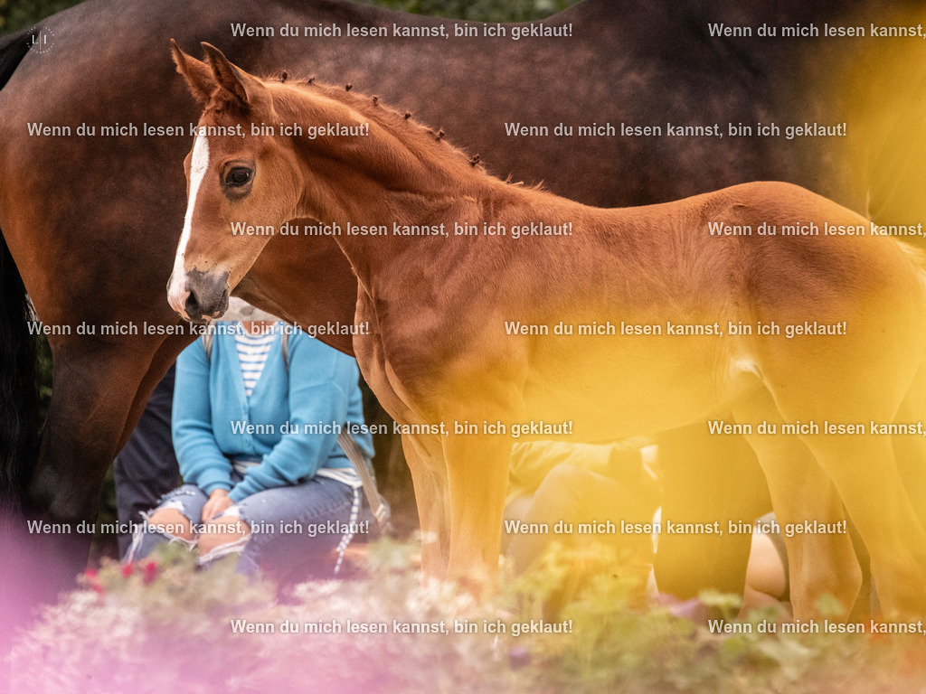 A10I5609 | photographylinaismer - Realisiert mit Pictrs.com