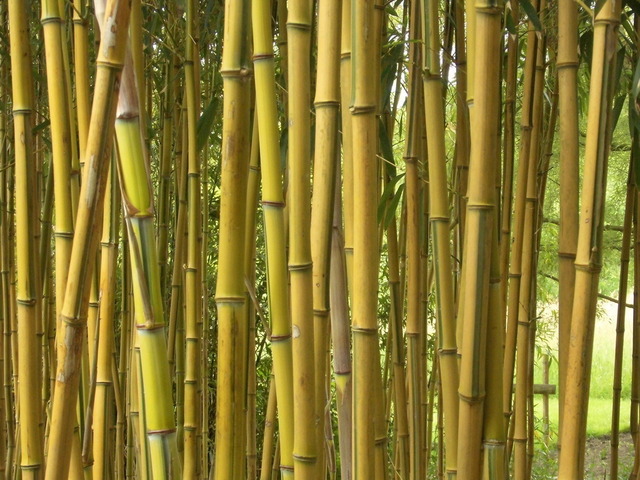 DSCI0664 | Outdoorpixl Teßen OHG - Realisiert mit Pictrs.com