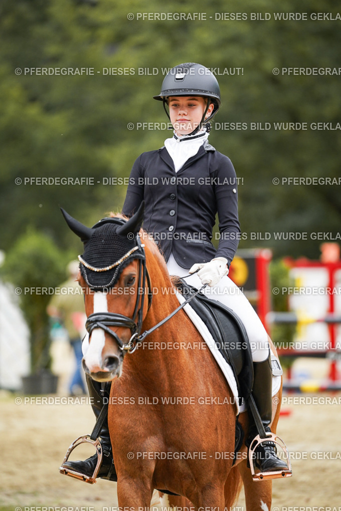 DSC06194 | Pferdegrafie