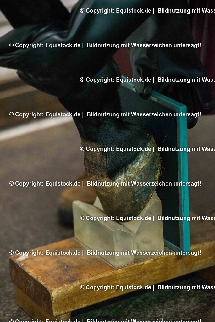 20170113_R__ntgen_0038 | Foto: Thomas Hartig