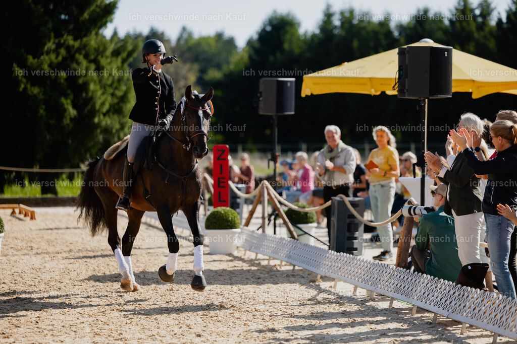 Virginie12FHC2025-27828 | working equitationturnier fotograf videograf stoibphotography marixx film working equitation deutschland reitsport turnierfotografie eventfotografie equestrian events