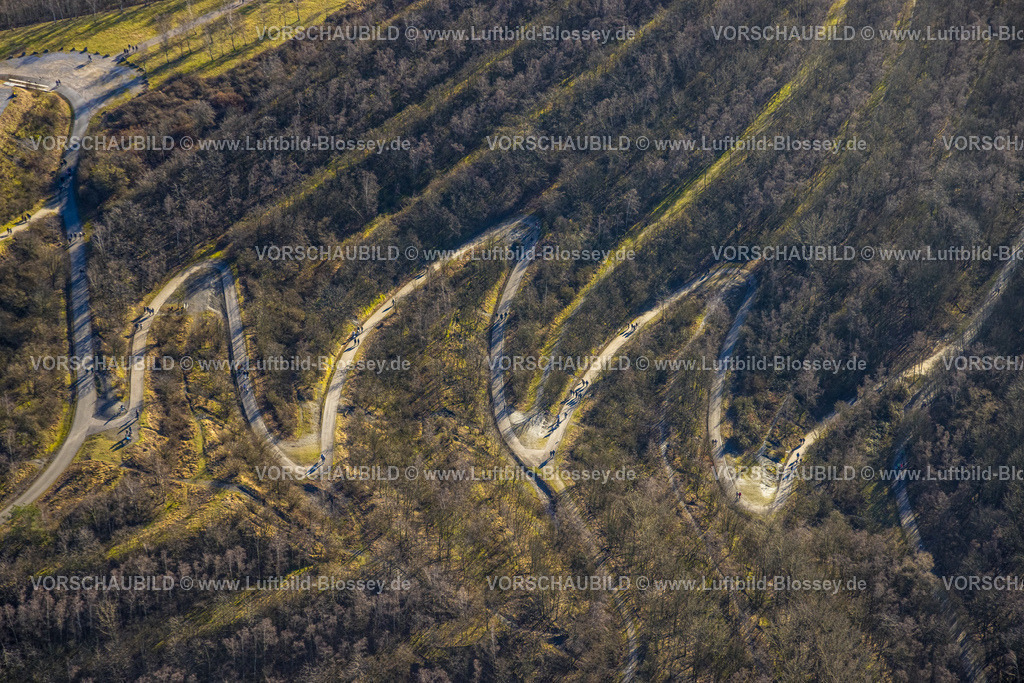 Bottrop240107373 | Luftbild, Serpentinenförmiger Wald-Wanderweg auf der Halde Beckstraße, Batenbrock-Nord, Bottrop, Ruhrgebiet, Nordrhein-Westfalen, Deutschland