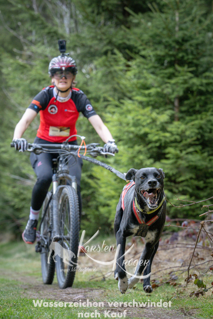 1311_ZZ93901 | kk-dogfotos