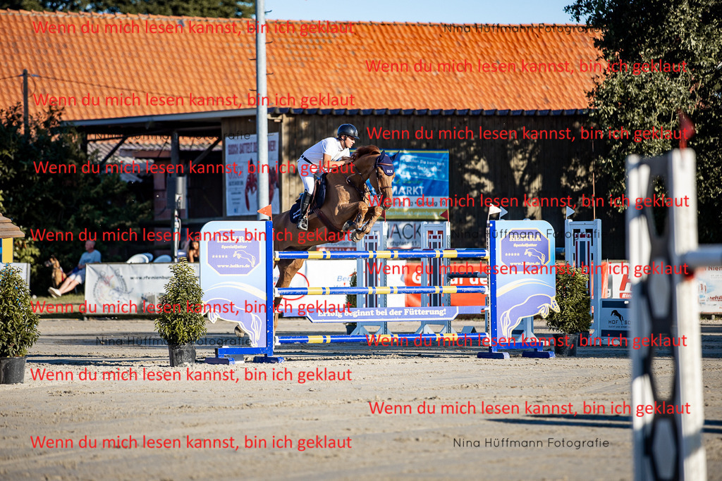 BK1A8378 | Turnierbilder Turnierfotos Nina Hüffmann Turnierfotografie Pferdefotografie Tierzeichnung Haustierzeichnung Pferdezeichnung Hundezeichnung Videograf  - Realisiert mit Pictrs.com