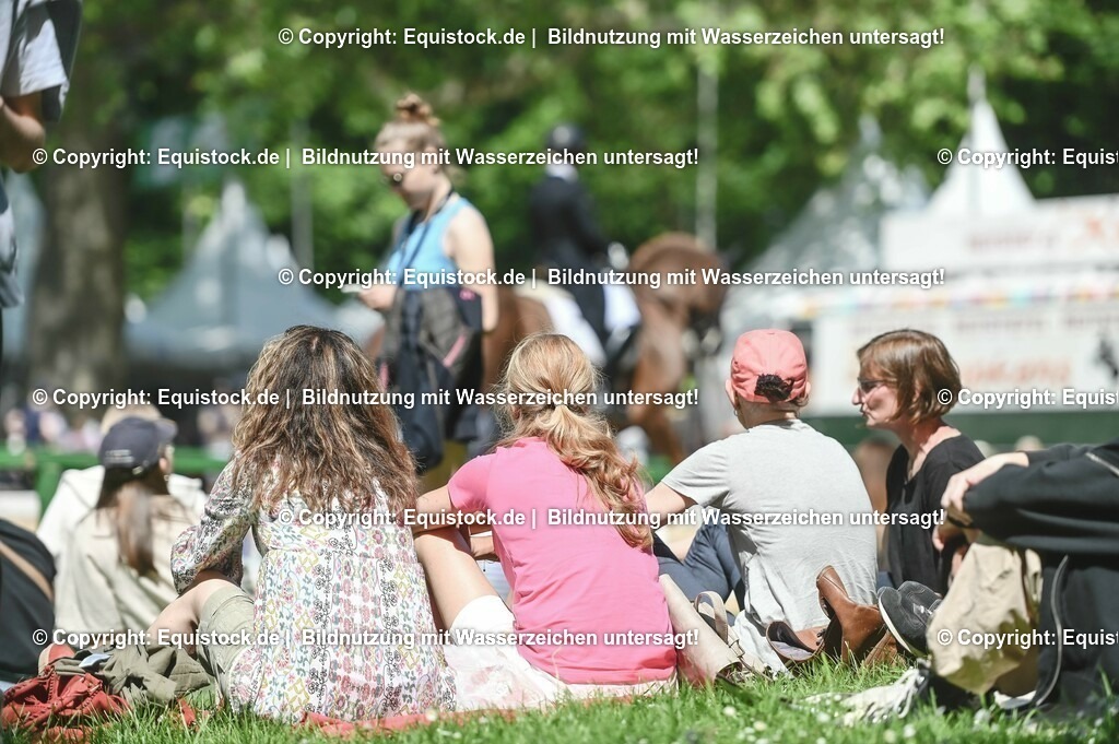 D78_2921 | equistock