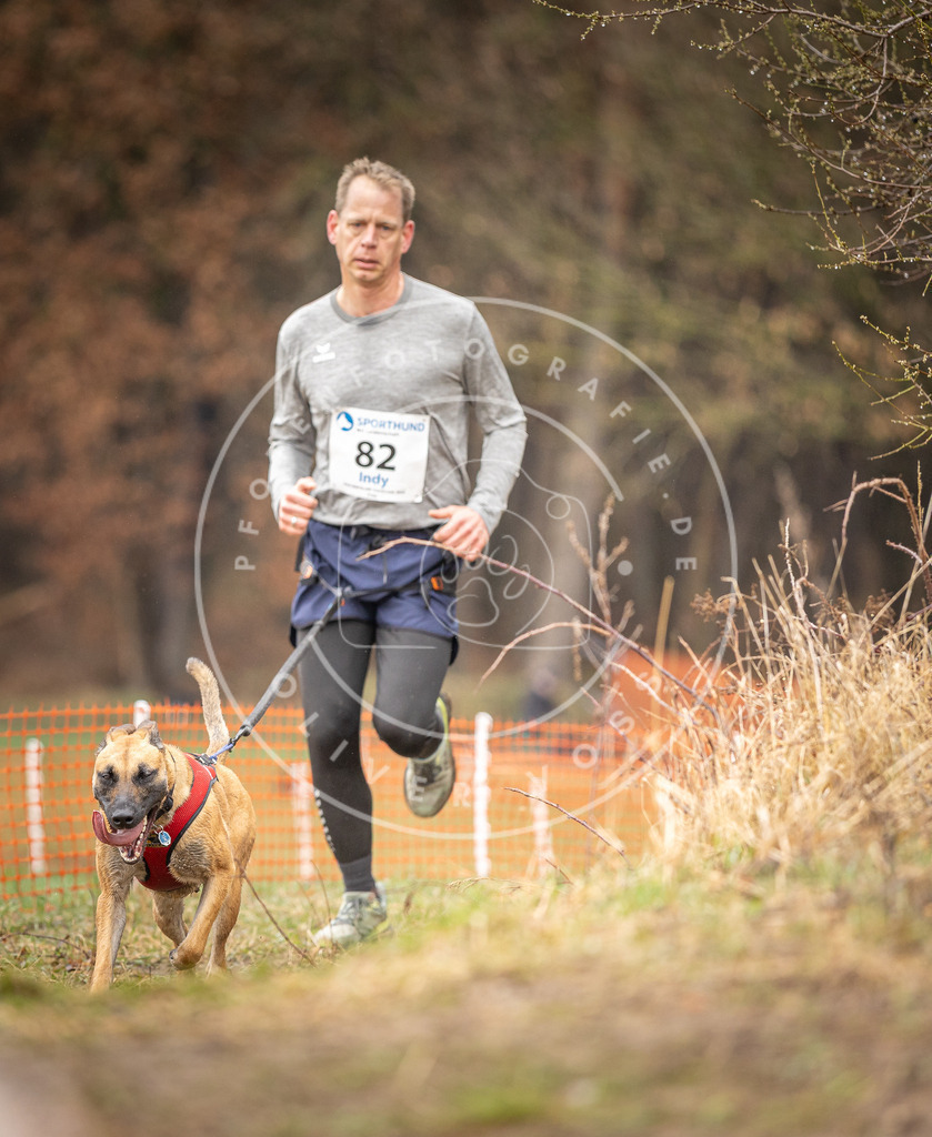 DV3A0340 | Hundefotografie, Tierfotograf, Pfotenfotografie, Fotoshooting Hund, Hunde Portrait, Hundesport, Hundeportraits, Heideshooting, Hunde, Sportfotograf, Hundefotograf, Turnierhundsport, THS,  - Realisiert mit Pictrs.com