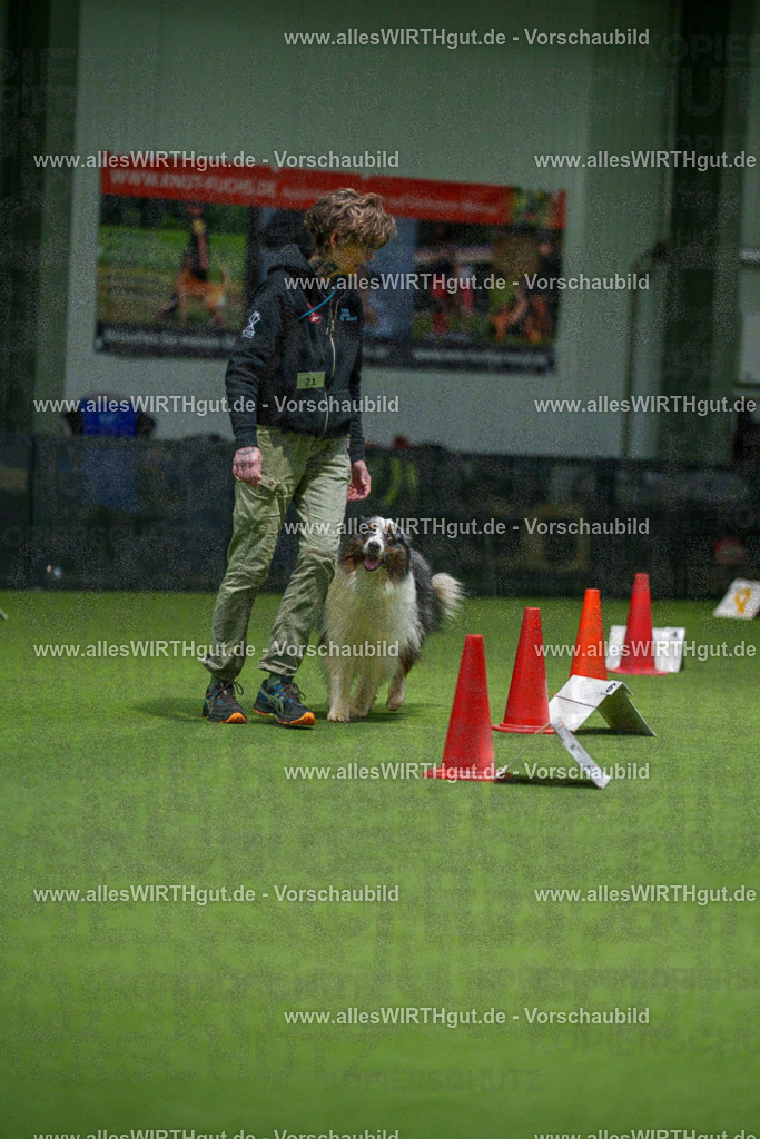 7R504691 | Professionelle Tierfotografie in Mönchengladbach von Daniel Wirth (allesWIRTHgut). Liebevolle & natürliche Bilder von Hunden & Katzen für unvergessliche Erinnerungen.