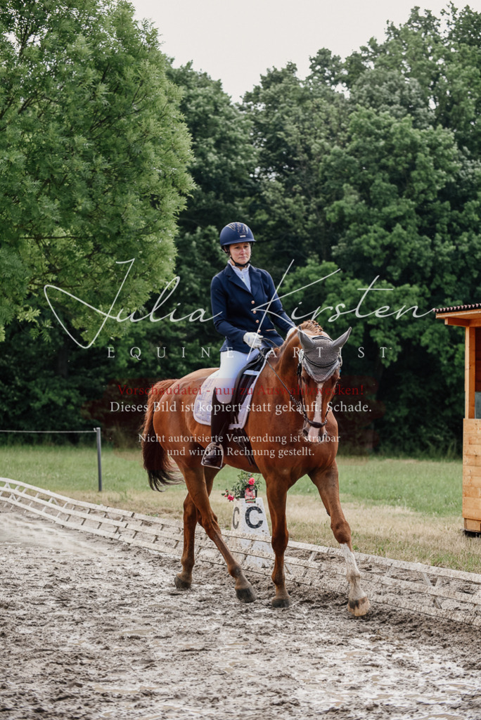 DSC_9895 | Pferde- und Turnierfotografie in Westsachsen. Pferdeportraits, Auftragszeichnungen und intuitive Kunst.