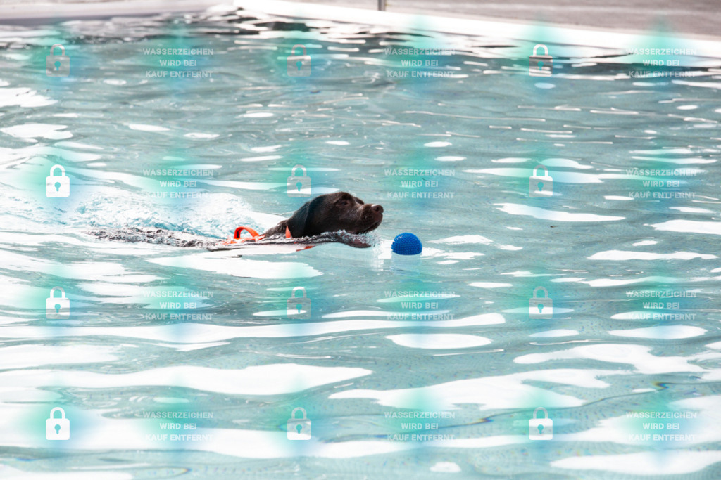 _HP_7586_1000o | HetPix, HetPix Fotodesign, Fotografie, Fotodesign, Webshop, Sportfotografie, Portraitfotografie, Onlineshop, Sportfotografie, Polch, Motorsportfotografie, Eventfotografie