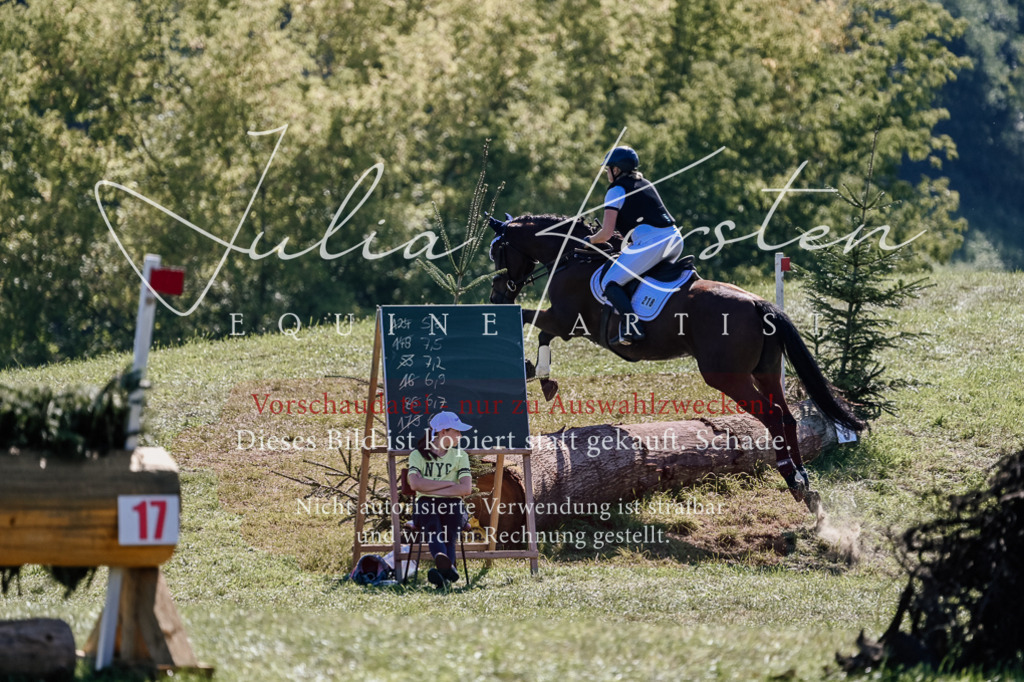 DSC_2645 | Pferde- und Turnierfotografie in Westsachsen. Pferdeportraits, Auftragszeichnungen und intuitive Kunst.