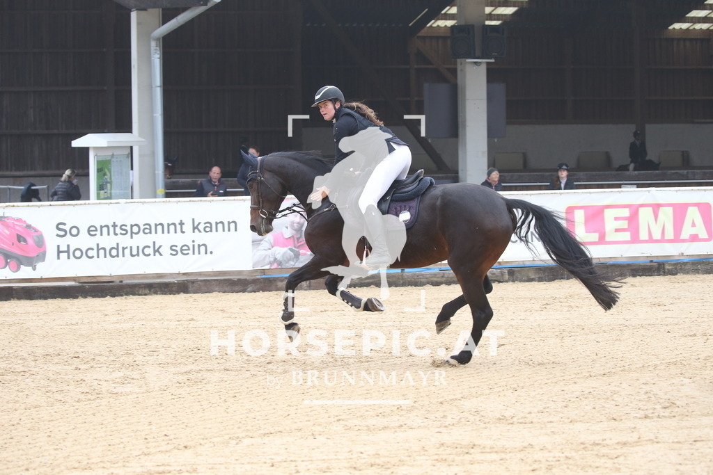 DL2Q3476 | Willkommen bei Brunnmayr - Design & Fotografie – Ihrem Spezialisten für Reitturniere und Pferdeveranstaltungen in Oberösterreich, Salzburg und Bayern! Seit über 17 Jahren sind wir leidenschaftlich dabei.