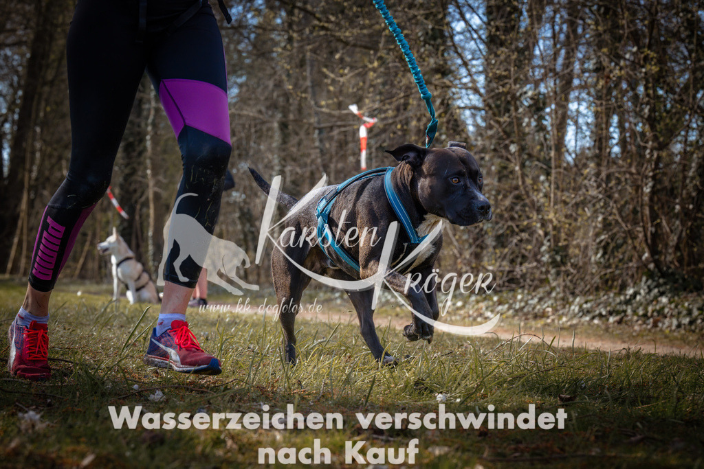 0916_ZZ94527 | kk-dogfotos